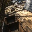 Photo #11: Roofing all types and repairs