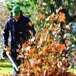 Photo #1: Clean Ups - Snow Removal - Landscaping and More...