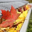 Photo #1: All these pretty fall colors will soon be in your GUTTERS