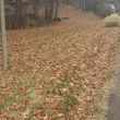 Photo #4: $25 LAWN MOWING, FALL CLEANUP, PLUS SNOWING PLOWING AND TREE WORK