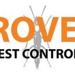 Photo #1: Pest Control Service
