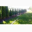 Photo #23: SOD/DRAINAGE/SPRINKLERS/BRICK PAVERS