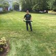 Photo #2: Landscaping tree service