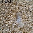 Photo #4: Professional Carpet, Repairs & Stairs