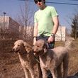 Photo #10: PET SITTER / DOG WALKER / HOUSE SITTER