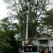 Photo #5: Outdoor Service @ Tree Service @ Debris Removal