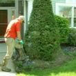 Photo #7: Outdoor Service @ Tree Service @ Debris Removal