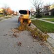 Photo #8: Outdoor Service @ Tree Service @ Debris Removal