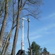 Photo #14: Outdoor Service @ Tree Service @ Debris Removal
