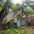 Photo #4: ABK TREE SERVICE tree trimming/removals
