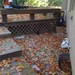 Photo #2: Fall Clean-up