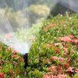 Photo #2: Irrigation, Sprinkling Blowout-Winterization Special $48.00