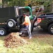 Photo #1: Fall leaves and yard cleanup
