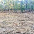 Photo #1: Land Clearing/Trail building and Maintenance