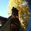 Photo #20: Chimney Repair/Rebuilds along with Wooden and Concrete Porches,Patios,