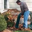 Photo #3: Fall Cleanups by Broke Hockey Dads to Pay for Hockey