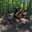 Photo #1: Excavating & Land Clearing