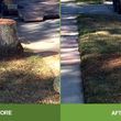 Photo #1: Stump Grinding & Removal