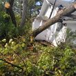 Photo #1: **STUMP GRINDING. TREE TRIMMING TREE REMOVAL**