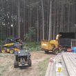 Photo #4: **STUMP GRINDING. TREE TRIMMING TREE REMOVAL**