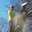 Photo #7: ALL Landscaping Projects Bobcat Services