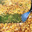 Photo #1: Fall clean up!! The leaves are falling!! Don't break your back raking