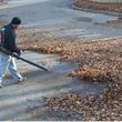 Photo #1: ***FALL CLEANUPS, GUTTER CLEANING, AND FALL FERTILIZING ***