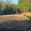 Photo #2: Forestry Mulching and Land Reclamation