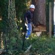 Photo #7: Native Tree Works- tree service