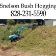 Photo #1: Bush Hogging and More