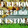 Photo #1: Leaf Removal & Gutter Cleaning - Free Estimates