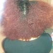 Photo #13: Crochet Specialist/Wig Maker! No edges, Alopecia, no prob!