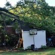 Photo #4: Storm Clean- up, Tree, Brush and Debris Removal and Tree Trimming