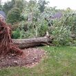 Photo #6: Storm Clean- up, Tree, Brush and Debris Removal and Tree Trimming