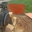 Photo #2: Stump grinding and removal