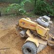 Photo #3: Stump grinding and removal