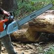 Photo #12: tree services