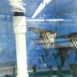 Photo #3: Aquarium Maintenance Services/ Supplies!