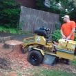 Photo #3: Kings Tree & Stump Removal