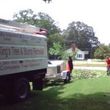 Photo #4: Kings Tree & Stump Removal