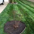 Photo #3: Stripes Are Right Lawncare