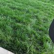 Photo #6: Stripes Are Right Lawncare