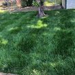 Photo #10: Stripes Are Right Lawncare