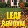 Photo #1: Leaf removal curb side pickup