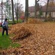 Photo #3: Leaf removal curb side pickup