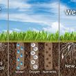Photo #1: Expert Aeration Services at the best pricing of the year