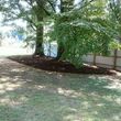 Photo #14: Grading bush hogging dump truck landscaping gravel mulch skid steer
