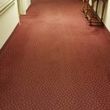 Photo #1: PROFESSIONAL CARPET & RUG CLEANING - MOVING OUT CLEANING - CALL NOW
