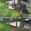 Photo #7: Junk Removal Trash Out Debri Removal Yard Clean up