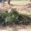 Photo #5: Affordable Debris,Yard, Home Cleanup & Removal